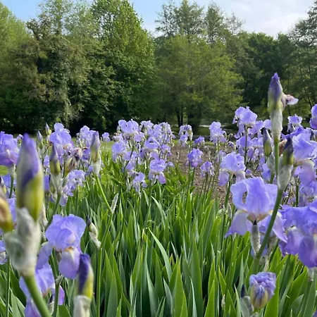 Le De Saint-maixent Le Petit * Haims