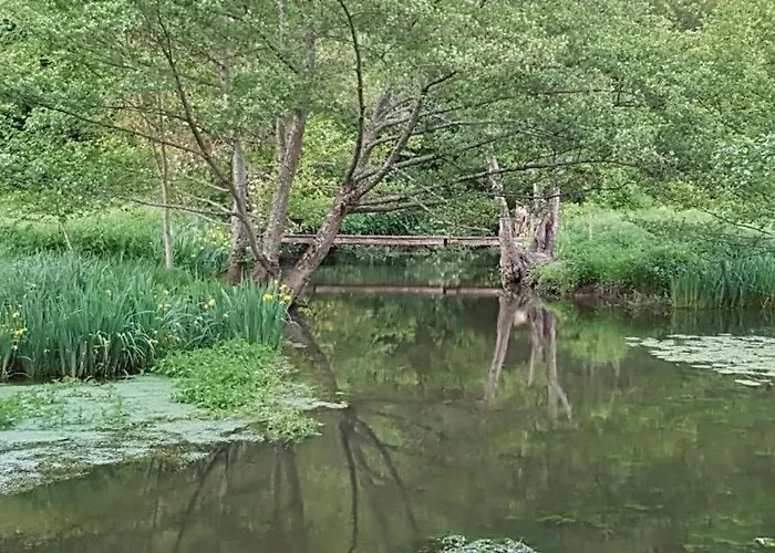 Le De Saint-maixent Le Petit Haims