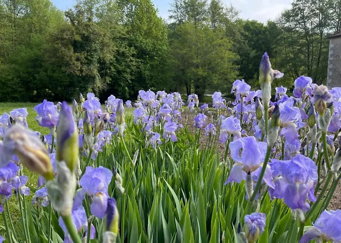 Hébergement de vacances Le De Saint-maixent Le Petit